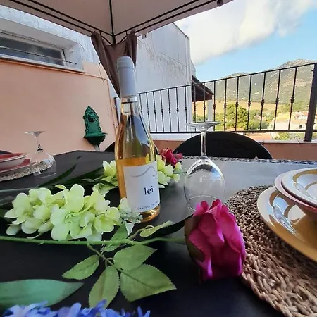 Casa Frida * Solanas